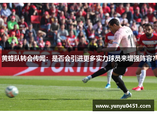 黄蜂队转会传闻：是否会引进更多实力球员来增强阵容？